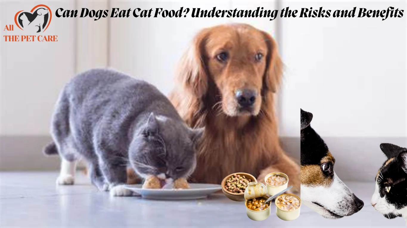 Can Dogs Eat Cat Food? Understanding the Risks and Benefits