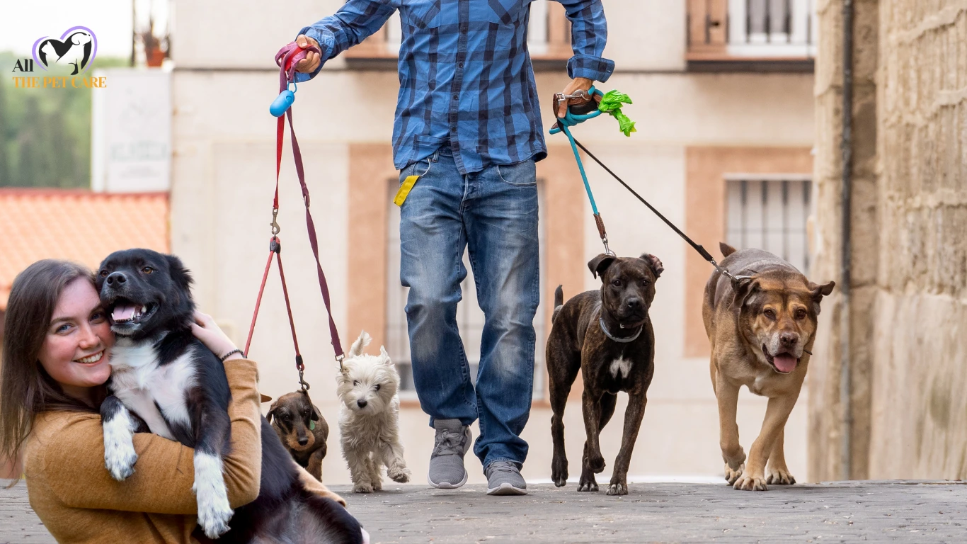 How Much Does a Dog Sitter Cost? What You Need to Know