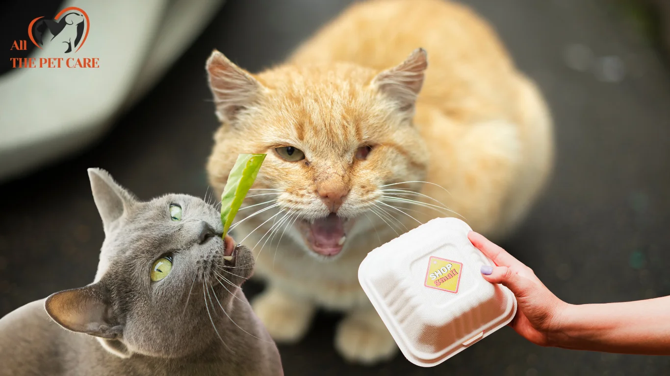 How Long Can a Cat Go Without Food?