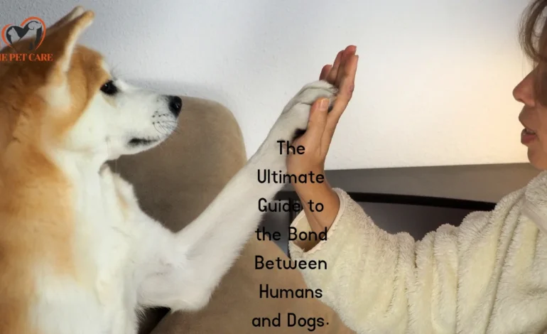 The Ultimate Guide to the Bond Between Human and Dog