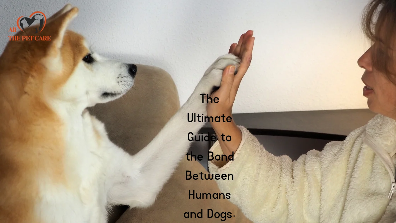 The Ultimate Guide to the Bond Between Human and Dog